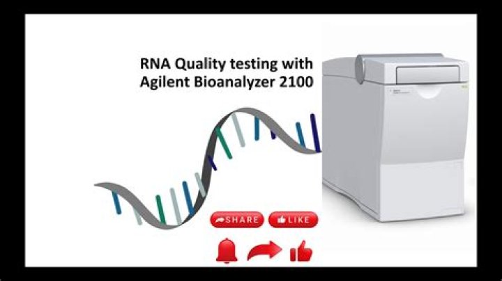 How much RNA is in a Bioanalyzer?