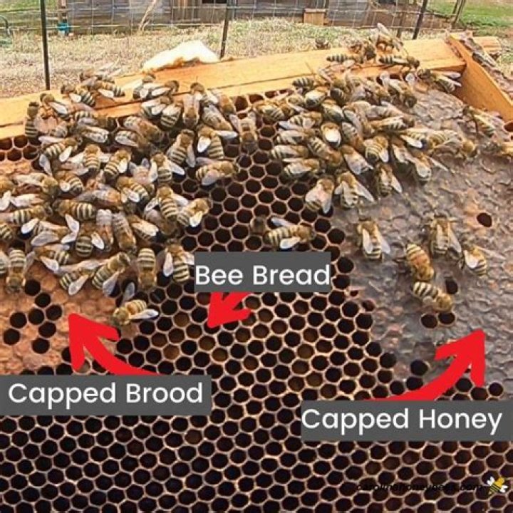 How much uncapped honey is OK?