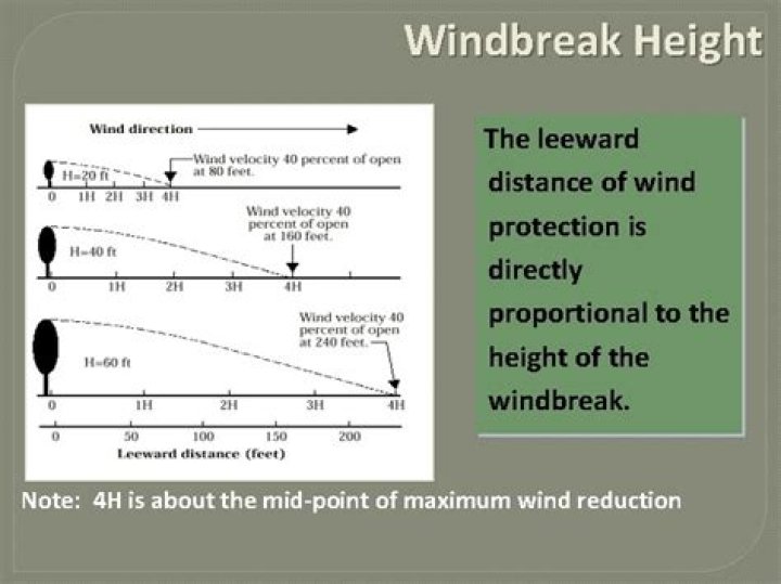 How wide should a windbreak be?