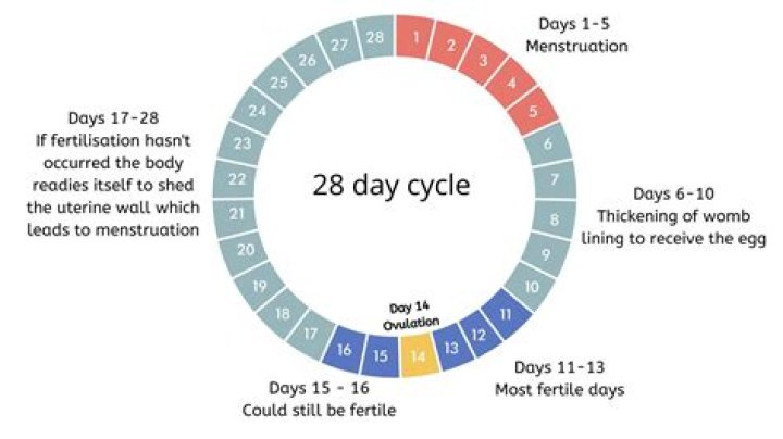 Is a 22 day cycle too short?