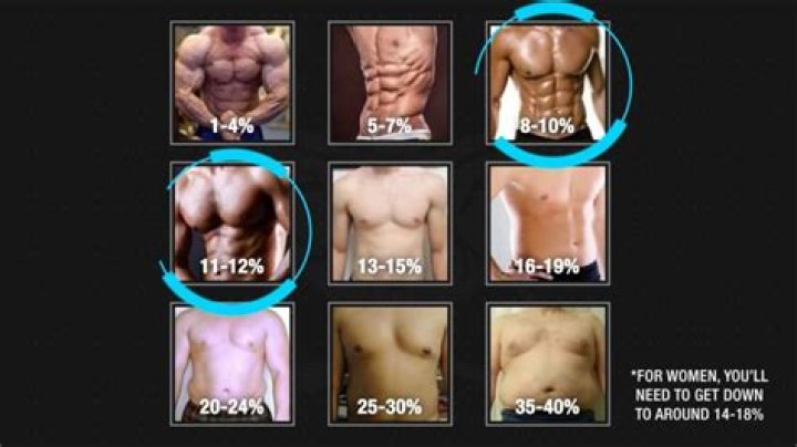 Is a fat pack worth it?