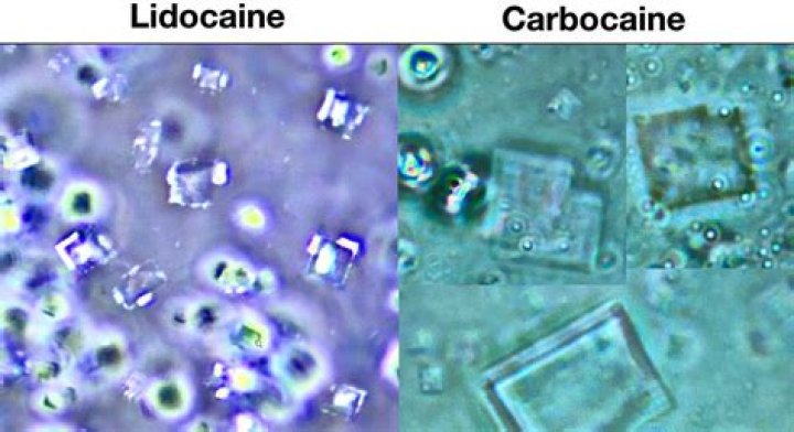 Is Carbocaine and lidocaine the same?