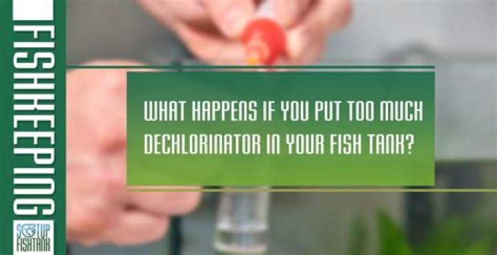 Is Dechlorinator harmful to fish?