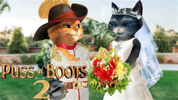 Is Dulcinea Puss in Boots girlfriend?