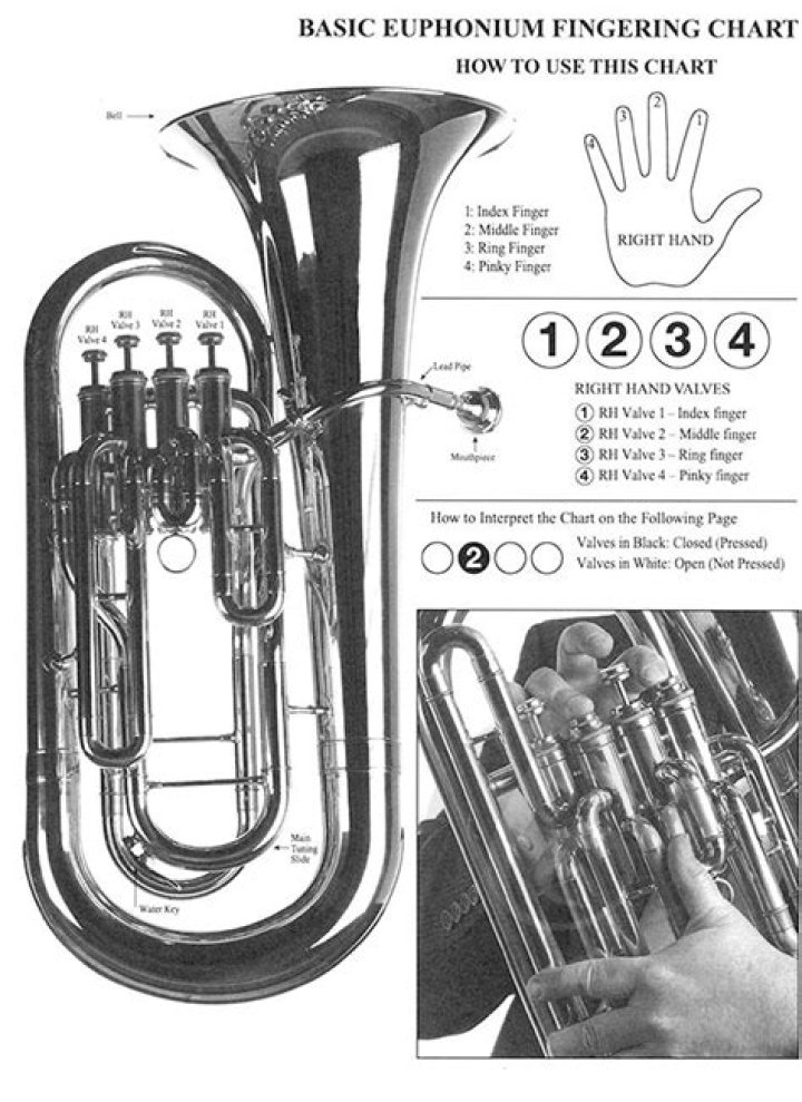 Is euphonium an orchestral instrument?