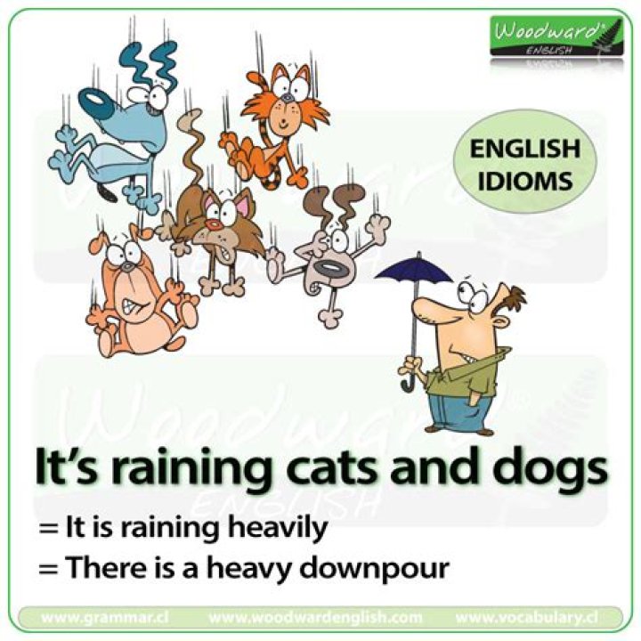 Is its raining cats and dogs an idiom?