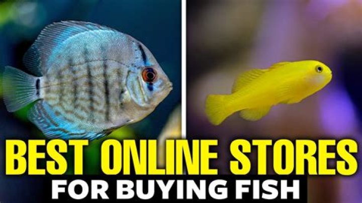 Is LiveAquaria a good place to buy fish?