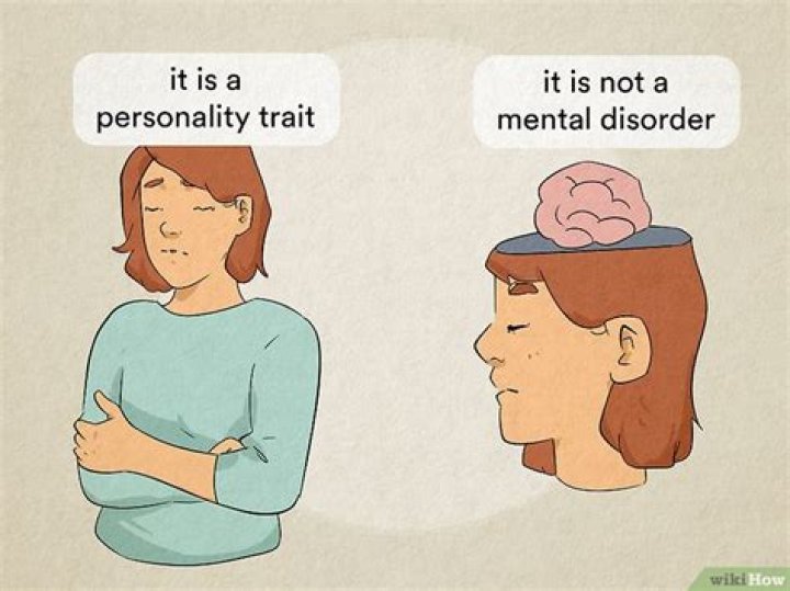 Is perfectionism a mental disorder?