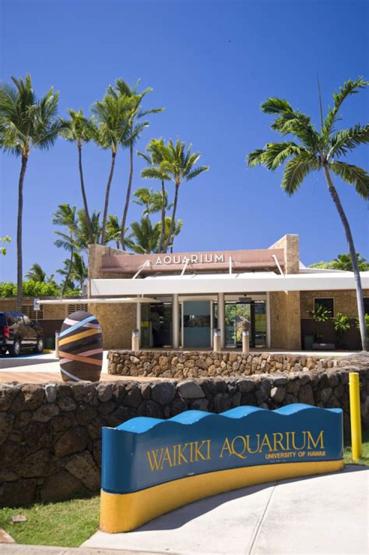 Is the Waikiki aquarium worth it?