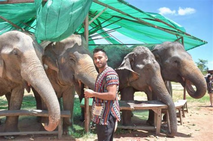 Is there an elephant sanctuary in Bangkok?
