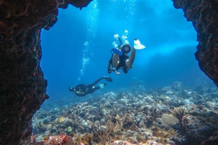 Is there good snorkeling in Vieques?