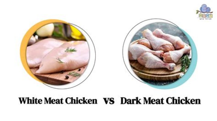 Is white meat chicken bad for you?