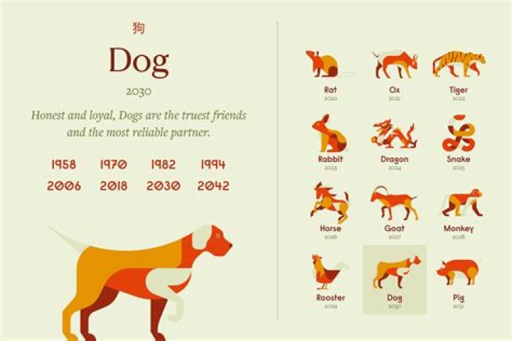 Is Year of the Dog a true story?