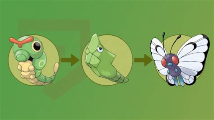 Should I catch Metapod?