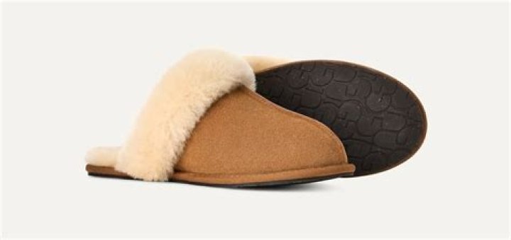 Should I size up in Ugg Scuffette slippers?