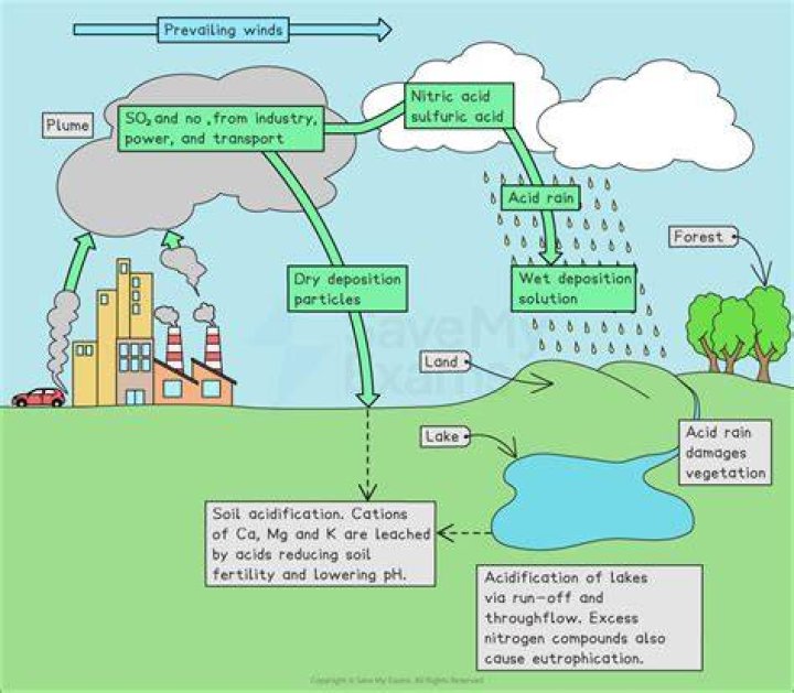 What are 2 causes of acid rain?