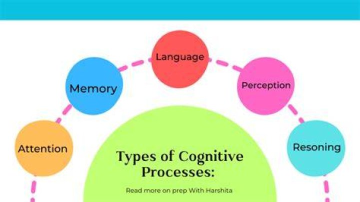 What are cognitive systems?