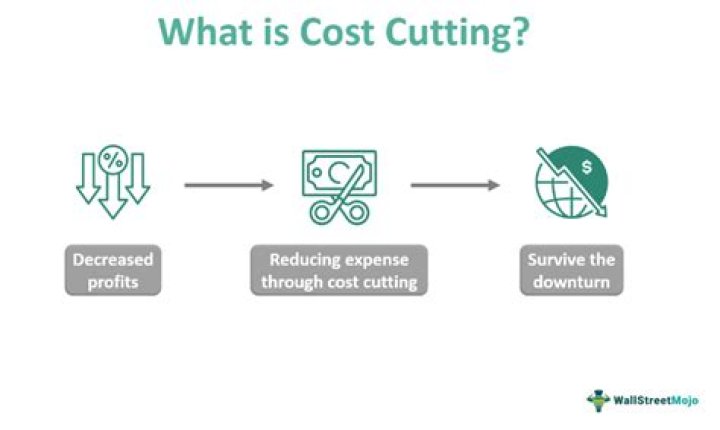 What are cost cutting strategies?
