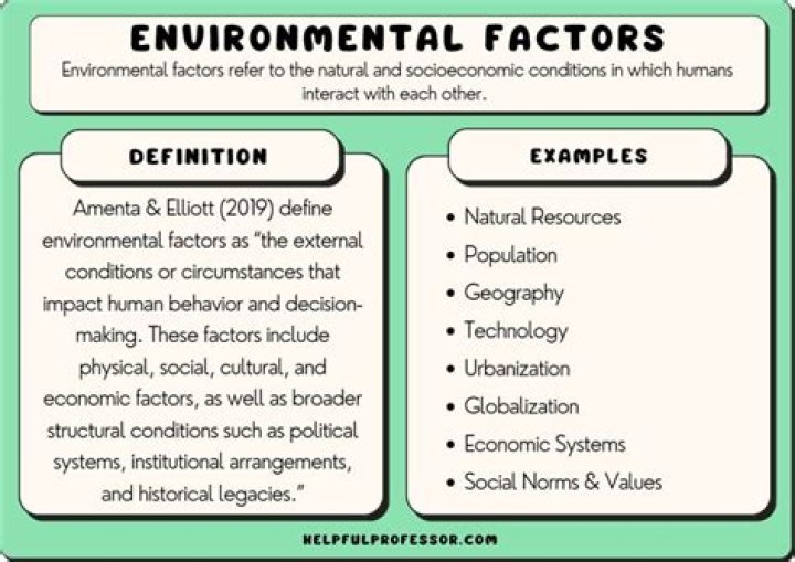 What are environmental factors in sales?