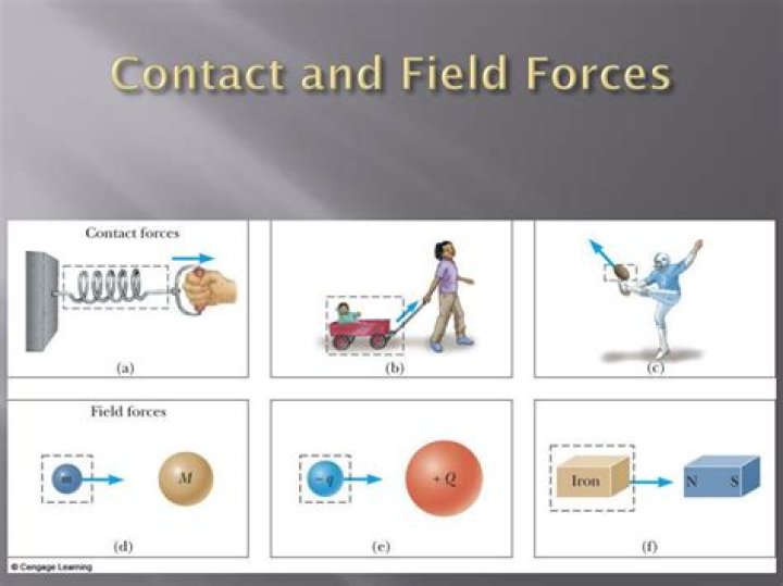 What are examples of contact and field forces?