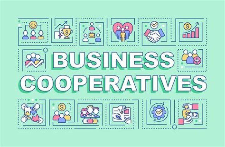 What are financial cooperatives?