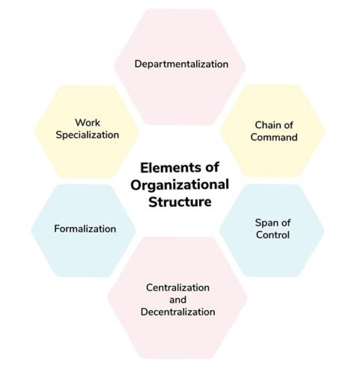 What are important organizational design factors?