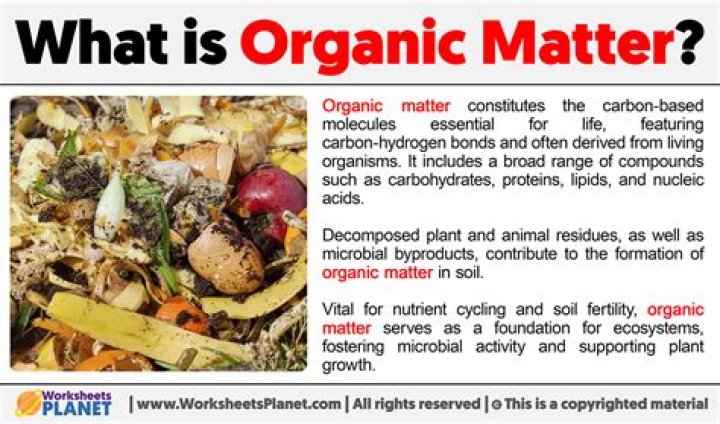 What are organic conducting materials?
