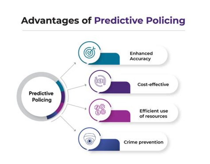 What are predictive policing programs?