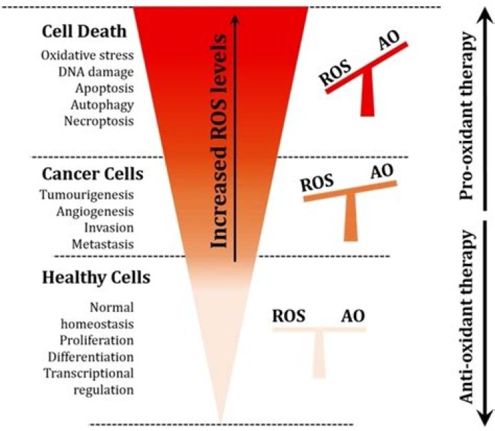 What are ROS levels?