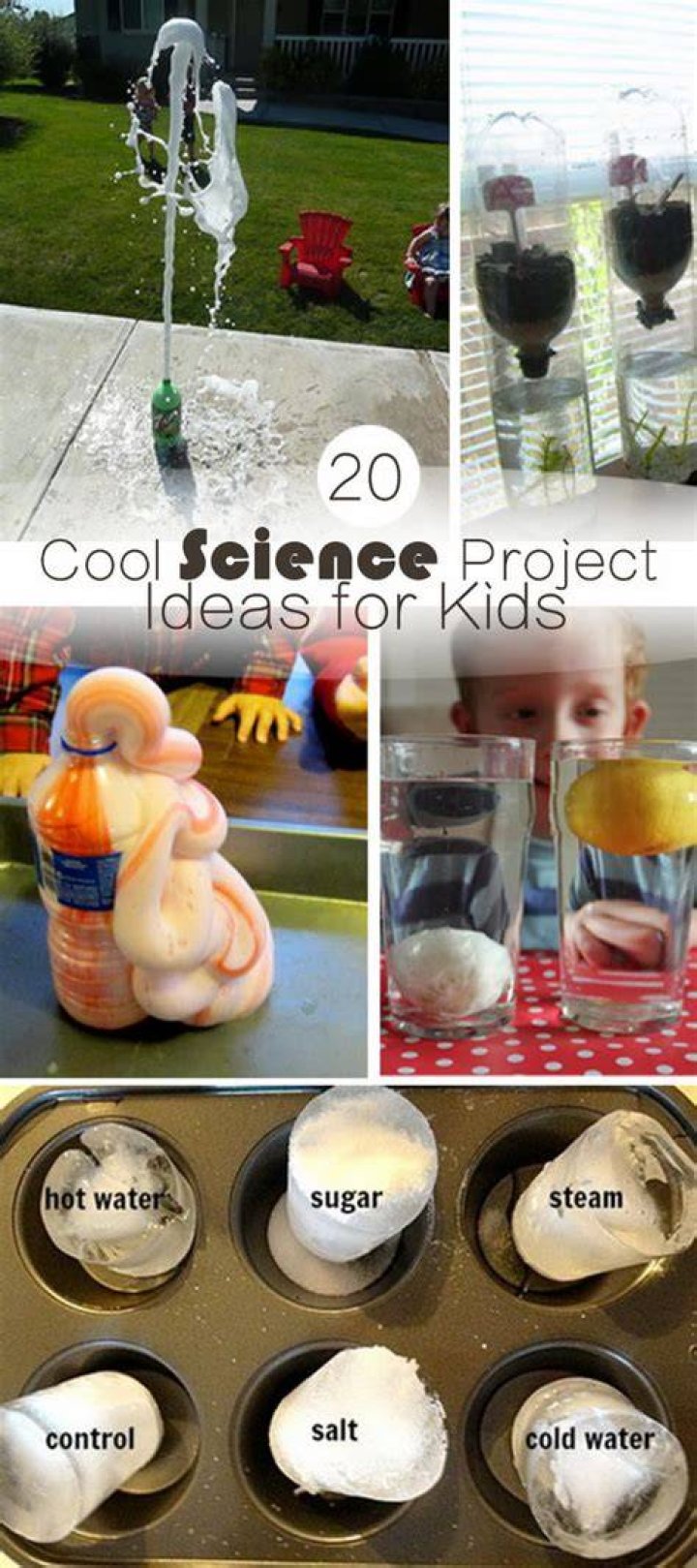What are some cool science things?