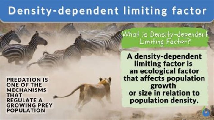 What are some examples of density dependent limiting factors?