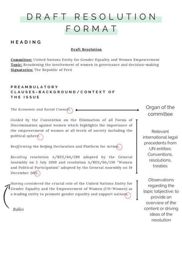 What are sponsors of a draft resolution?