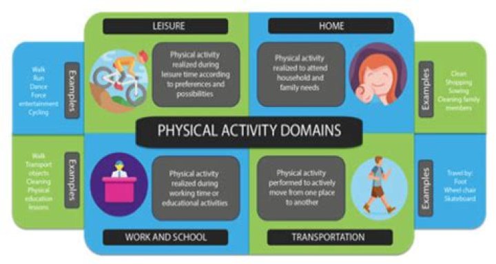 What are the 4 domains of fitness?
