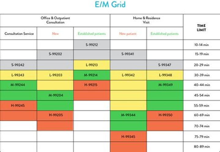 What are the 4 levels of E&M exam?