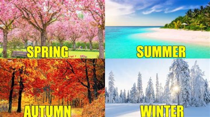 What are the 4 seasons in a year?