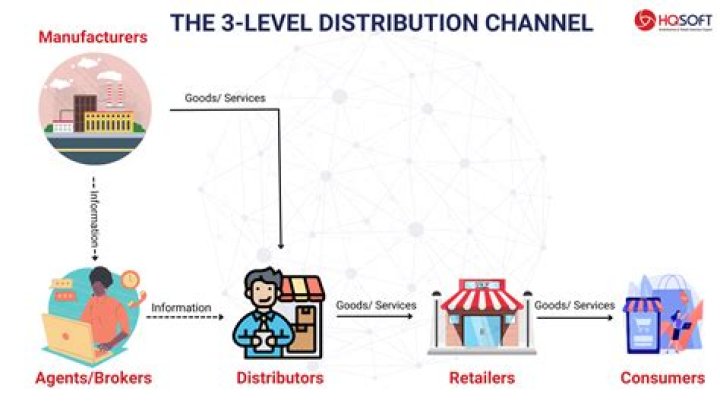 What are the advantages and disadvantages of distribution channels?