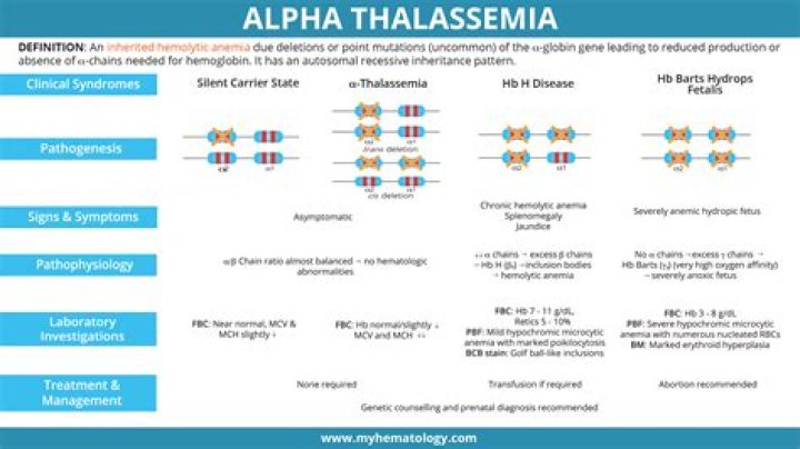 What are the classification of thalassemia?