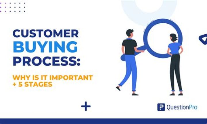 What are the differences and similarities between the consumer and business buying processes?