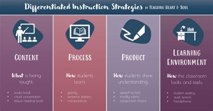 What are the differences between concentrated and differentiated strategies?