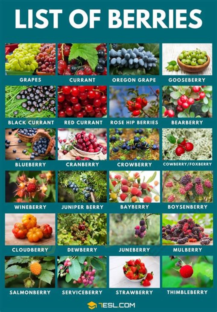 What are the different kinds of consumer?