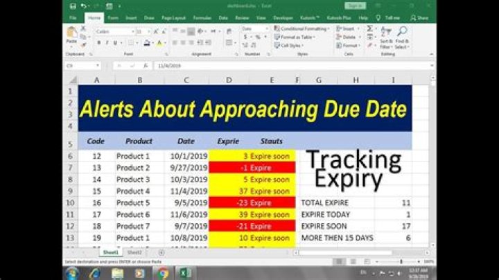 What are the due dates for safety reporting?