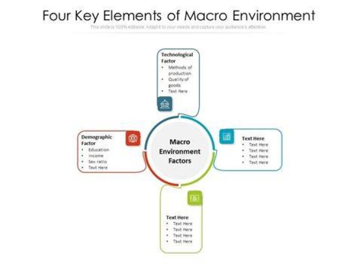 What are the elements of the macro environment?