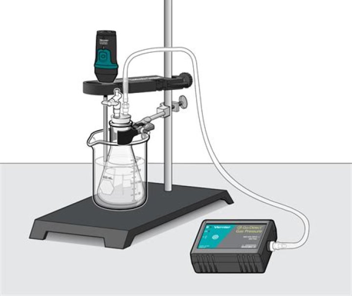 What are the factors that affect the Behaviour of gases?