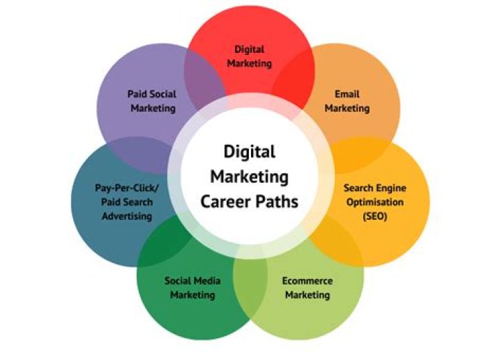 What are the fields in marketing?