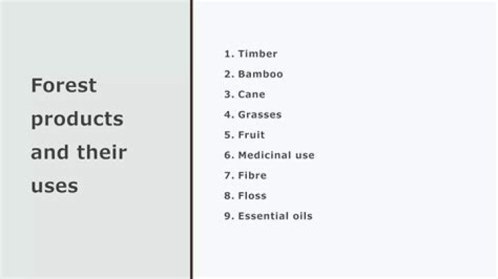 What are the forest products and their uses?