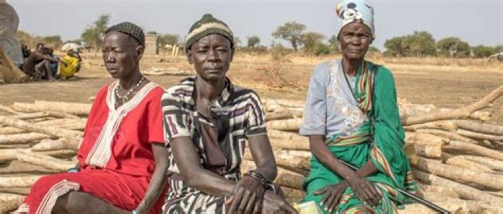 What are the gender roles in Africa?