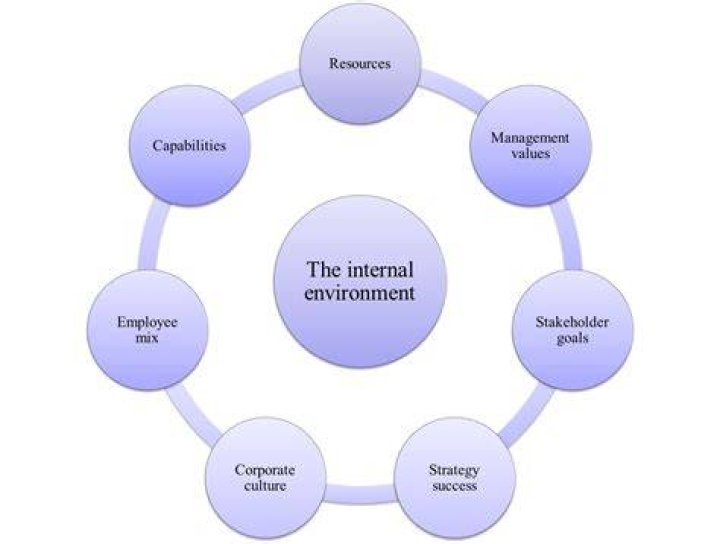 What are the internal environment factors?