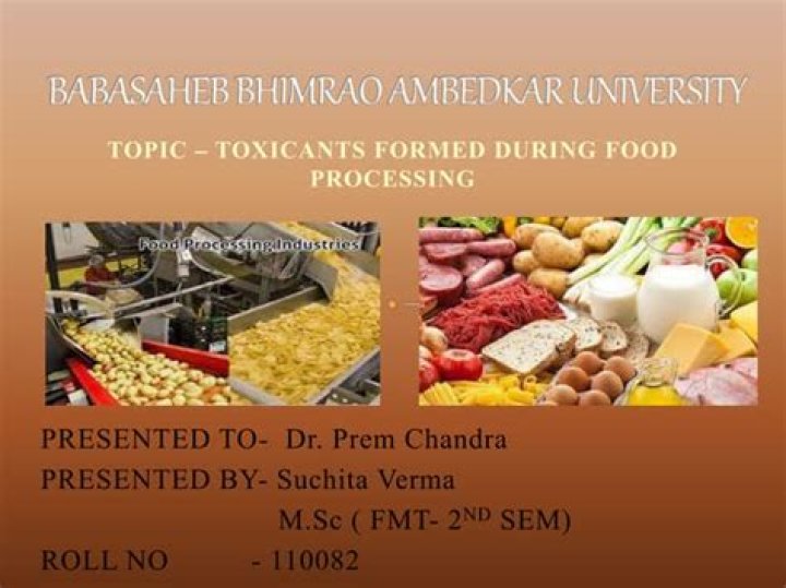 What are the possible problems might encounter during food processing?
