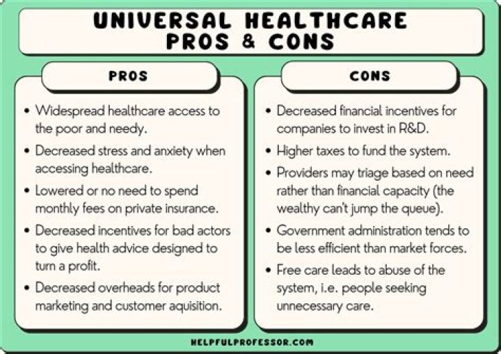 What are the pros and cons of socialized medicine?