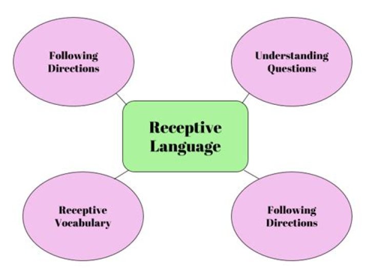 What are the receptive language skills?